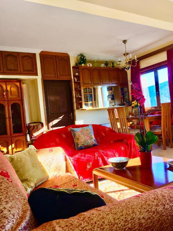 Delphi Celebrity V I P The Navel Of The Earth, Center-Delphi-Penthouse Galaxy&Sky Panoramic View, Harmony&Yoga Lägenhet Exteriör bild